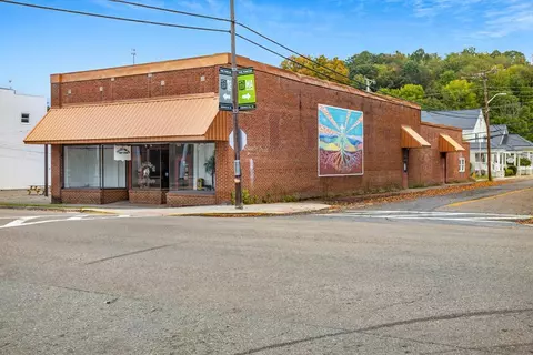 101 W Laurel Ave, Damascus, VA 24236