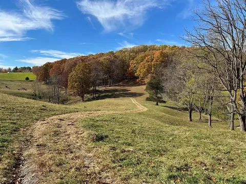 1748 Mountain Rd, Cedar Bluff, VA 24609 photo 1