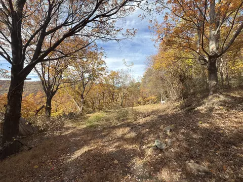 129 Plains Trl, Cana, VA 24317 photo 6
