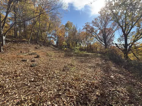 129 Plains Trl, Cana, VA 24317 photo 9
