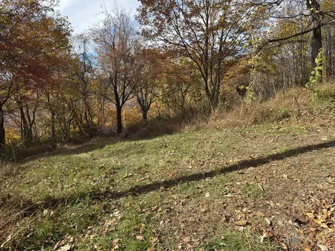 129 Plains Trl, Cana, VA 24317 photo 5