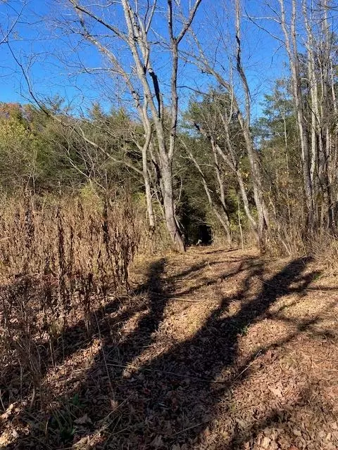 lot5 W Lee Hwy, Wytheville, VA 24382