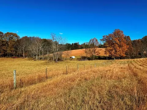 85 Acre Coffey Rd, Max Meadows, VA 24360 photo 19