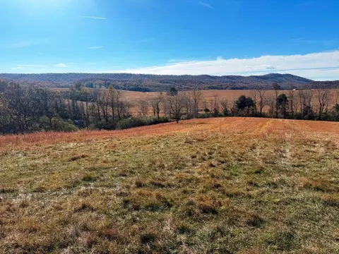 85 Acre Coffey Rd, Max Meadows, VA 24360 photo 2