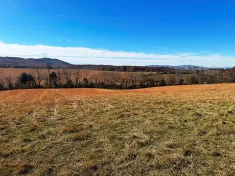 85 Acre Coffey Rd, Max Meadows, VA 24360 photo 16