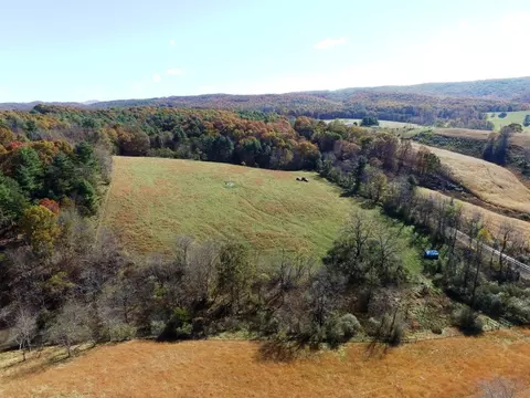 85 Acre Coffey Rd, Max Meadows, VA 24360 photo 14