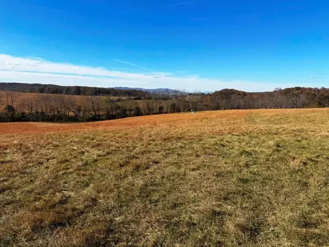 85 Acre Coffey Rd, Max Meadows, VA 24360 photo 17