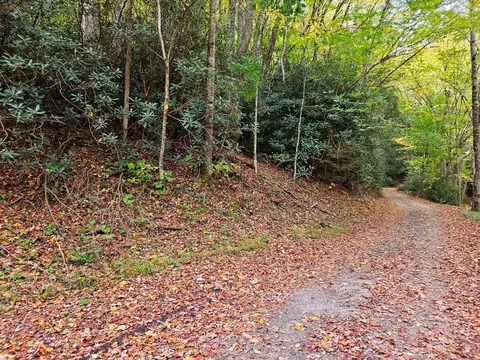 lot14 B Pennington Branch Rd, Damascus, VA 24236