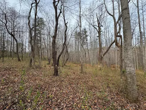 0 Pine Knoll Farms Loop, Stuart, VA 24171 photo 5