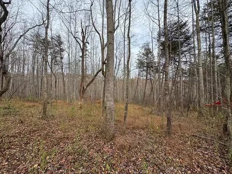 0 Pine Knoll Farms Loop, Stuart, VA 24171 photo 6