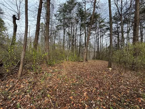 0 Pine Knoll Farms Loop, Stuart, VA 24171