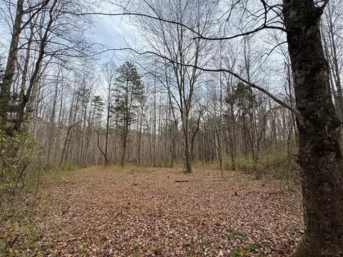 0 Pine Knoll Farms Loop, Stuart, VA 24171 photo 5