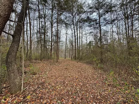 0 Pine Knoll Farms Loop, Stuart, VA 24171 photo 3