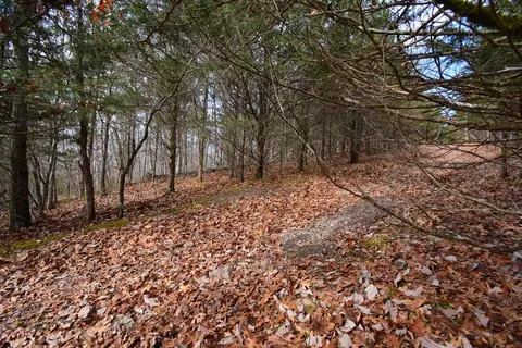 tbd Hickory Dr, Pounding Mill, VA 24637 photo 3