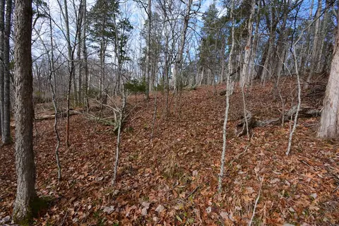 tbd Hickory Dr, Pounding Mill, VA 24637 photo 5