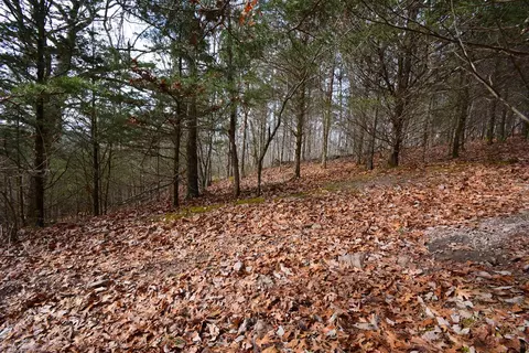 tbd Hickory Dr, Pounding Mill, VA 24637 photo 4
