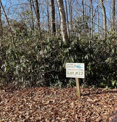 tbd W Pheasant Chase, Fancy Gap, VA 24328