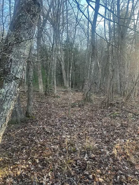 tbd Little Creek Hwy, Dublin, VA 24084