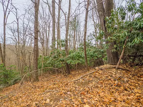 tbd Spring Lure Trl, Fancy Gap, VA 24328 photo 5