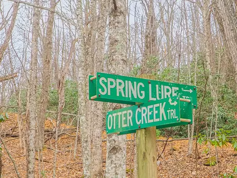 tbd Spring Lure Trl, Fancy Gap, VA 24328 photo 7