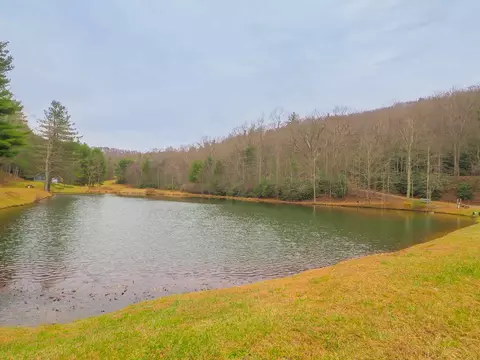 tbd Spring Lure Trl, Fancy Gap, VA 24328 photo 9
