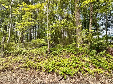 4306 Keno Rd, Laurel Fork, VA 24352 photo 5