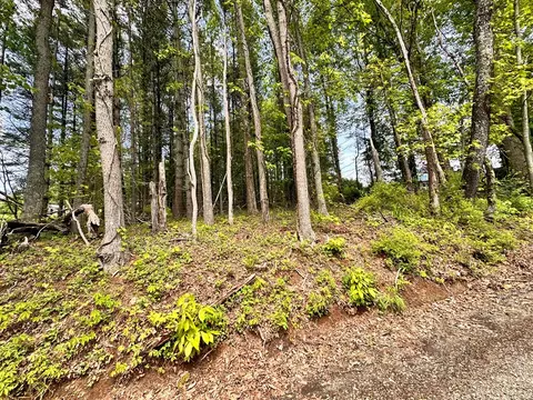 4306 Keno Rd, Laurel Fork, VA 24352 photo 13
