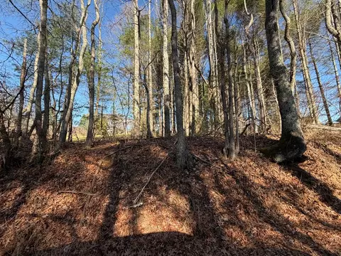 4306 Keno Rd, Laurel Fork, VA 24352 photo 7