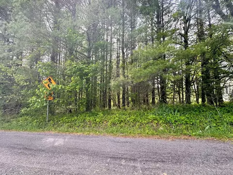 4306 Keno Rd, Laurel Fork, VA 24352 photo 3