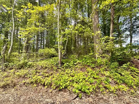 4306 Keno Rd, Laurel Fork, VA 24352 photo 12