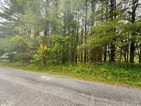 4306 Keno Rd, Laurel Fork, VA 24352 photo 11