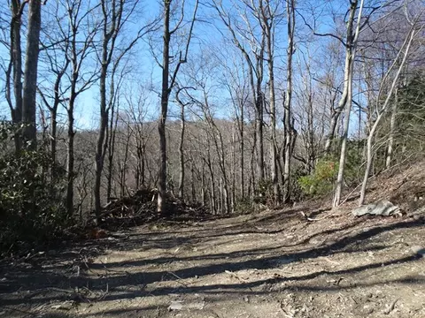 tbd St Moritz, Fancy Gap, VA 24328 photo 9