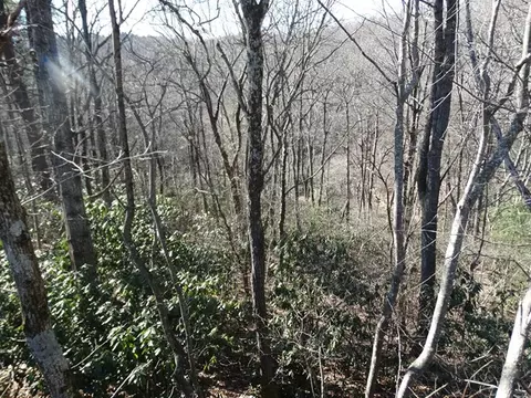 tbd St Moritz, Fancy Gap, VA 24328 photo 11