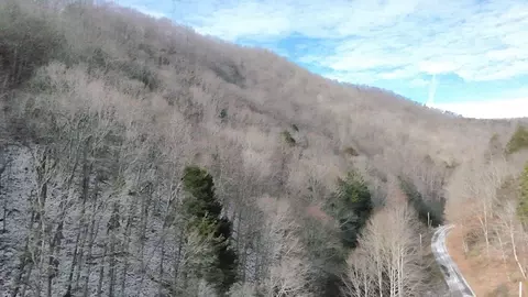 tbd Carlock Creek Rd, Chilhowie, VA 24319