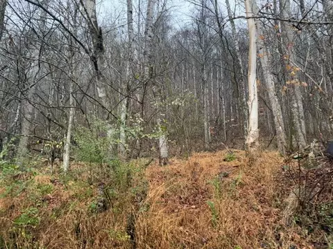 tbd N Fork River Rd, Abingdon, VA 24210