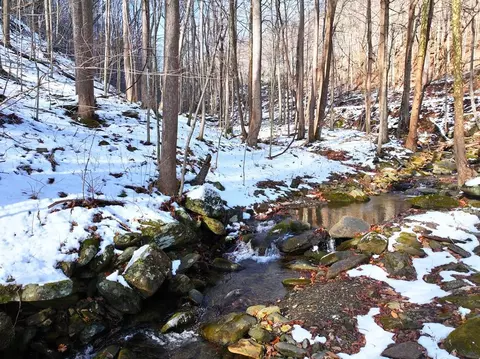 00 Shooting Creek Rd, Floyd, VA 24091