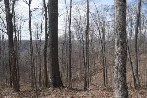 tbd Reynolds Ridge Rd, Bandy, VA 24602