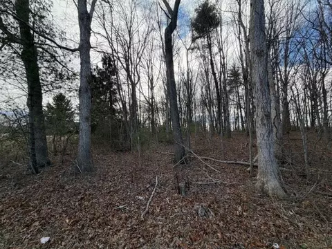 lot S 34 Ivanhoe Rd, Max Meadows, VA 24360 photo 4