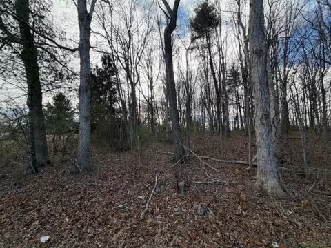 lot S 34 Ivanhoe Rd, Max Meadows, VA 24360 photo 9