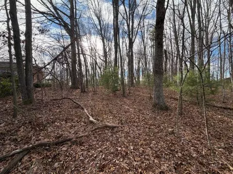 lot S 34 Ivanhoe Rd, Max Meadows, VA 24360