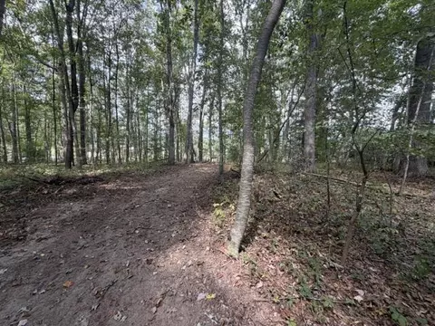 lot S 34 Ivanhoe Rd, Max Meadows, VA 24360 photo 6