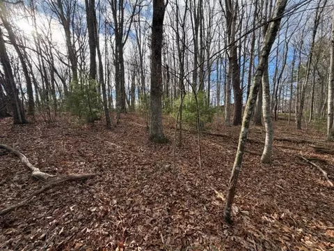 lot S 34 Ivanhoe Rd, Max Meadows, VA 24360 photo 3