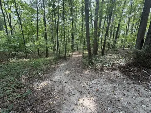 lot S 34 Ivanhoe Rd, Max Meadows, VA 24360 photo 10