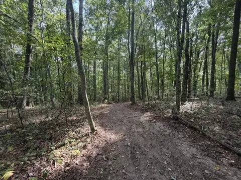 lot S 34 Ivanhoe Rd, Max Meadows, VA 24360 photo 5