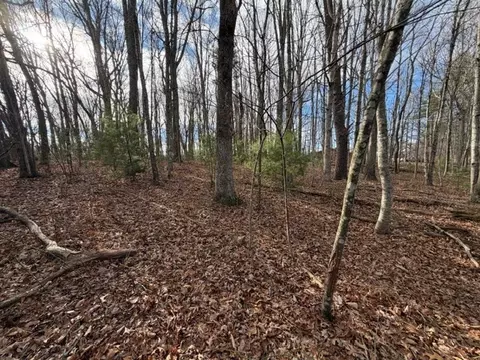 lot S 34 Ivanhoe Rd, Max Meadows, VA 24360 photo 8