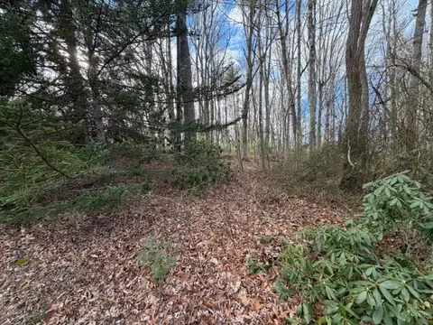 lot S 34 Ivanhoe Rd, Max Meadows, VA 24360 photo 2