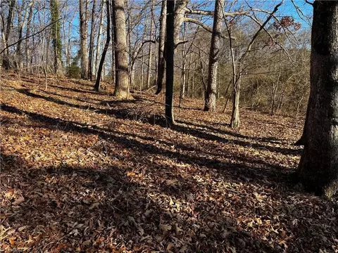 0000 Virgilina Cir, Cana, VA 24317