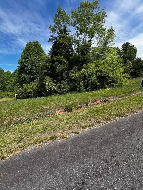 00000 Virgilina Cir, Cana, VA 24317