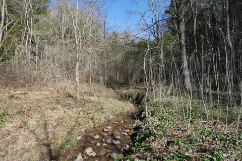 tbd Dean Rd, Rose Hill, VA 24281