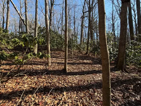 tbd Laurel Way, Fancy Gap, VA 24328 photo 6